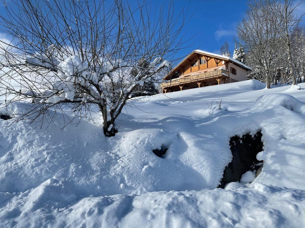 Chalet Spa Le Diamant Nathalie Mn La Rouge La Bresse Εξωτερικό φωτογραφία