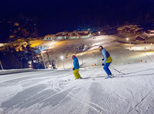 Chalet Spa Le Diamant Nathalie Mn La Rouge La Bresse Εξωτερικό φωτογραφία